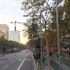 IMG 347